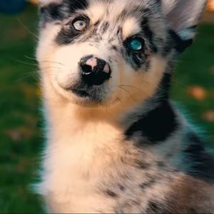 Meet your Posher, Jadelyn